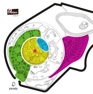 Dessin du plan du jardin de la Roseraie de Poitiers